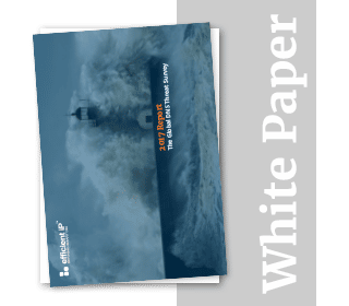 2017 Global DNS Threat Report