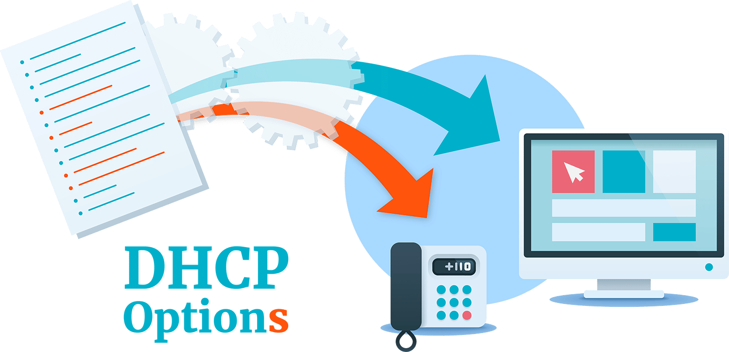 What is DHCP-DHCP options