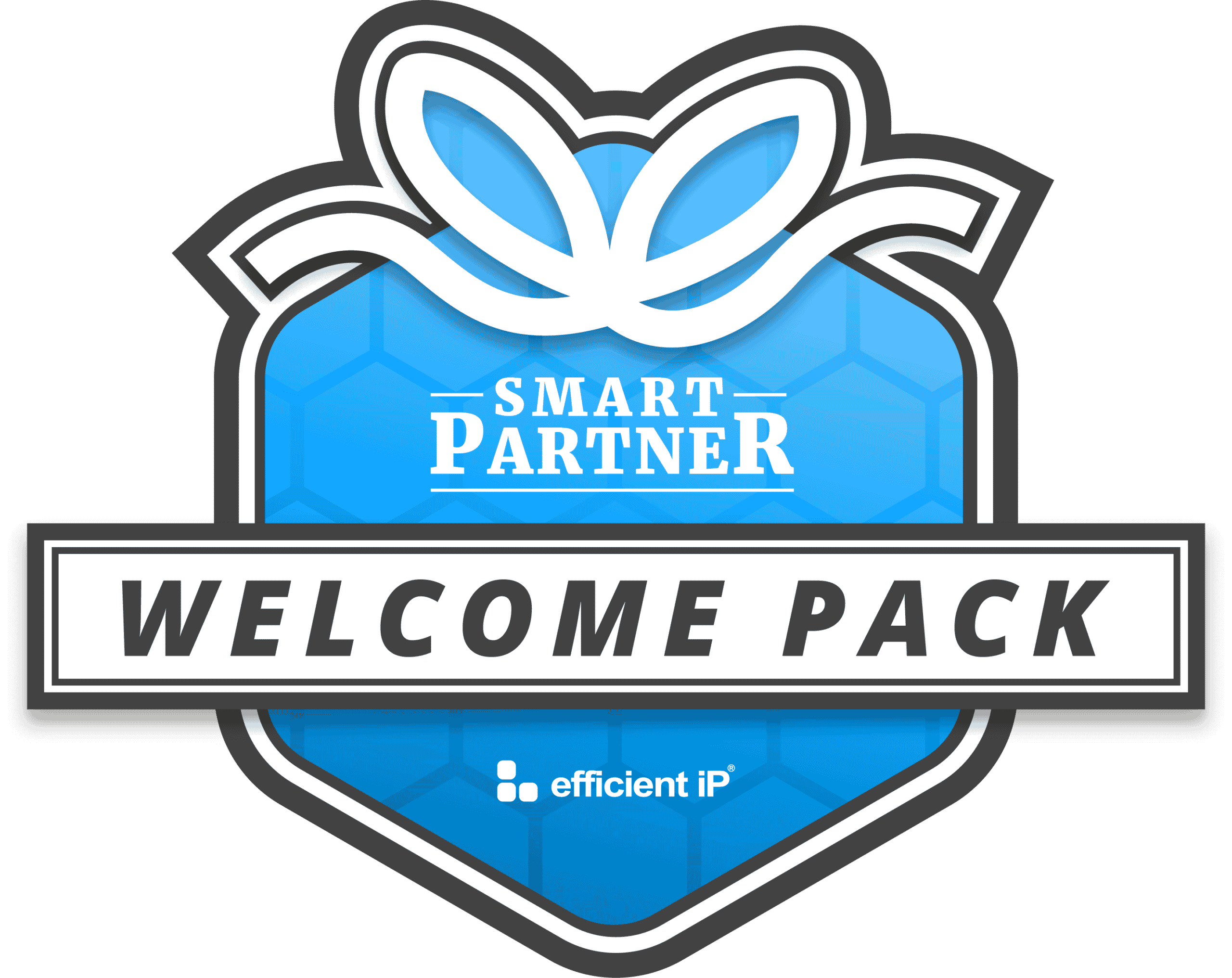 graphic image of EfficientIP SmartPartner welcome pack