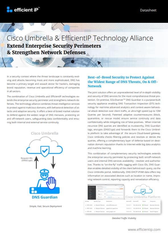 Cisco Umbrella + DNS Guardian Integration | Efficient IP