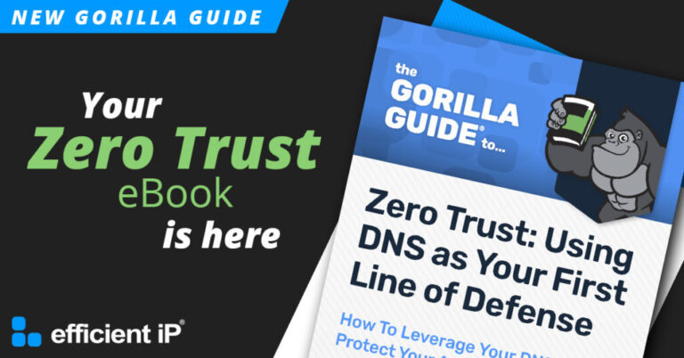 New eBook Series! Zero Trust Architecture: Using DNS as Your First Line of Defense