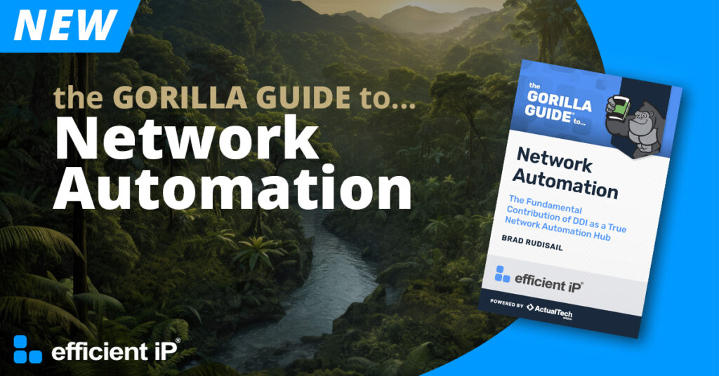 Gorilla Guide to Network Automation