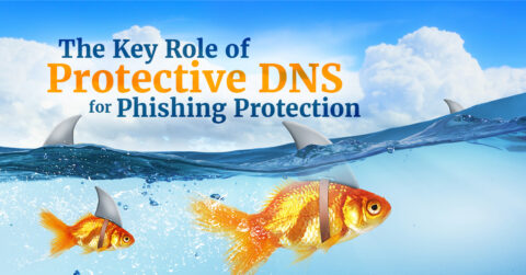 the Key Role of Protective Dns for Phishing Protection