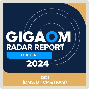 Efficientip Ranked Ddi Leader in 2024 Gigaom Ddi Radar