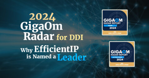 2024 Gigaom Radar for Ddi Why Efficientip is Named a Leader