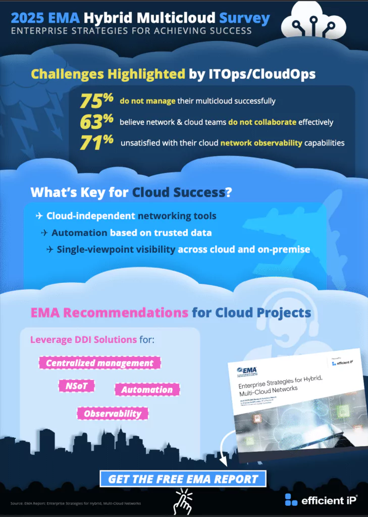 2025 Ema Hybrid Multicloud Survey Infographics