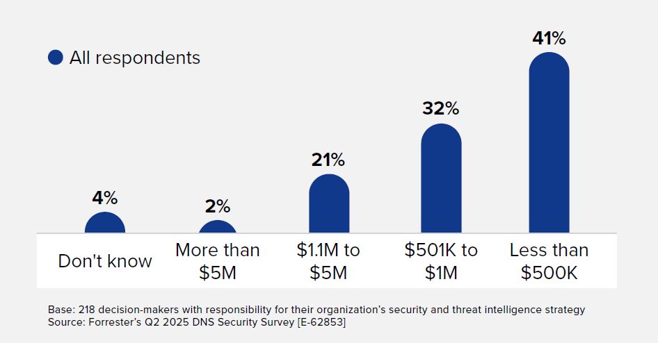 Dns Attacks Costs on Average 