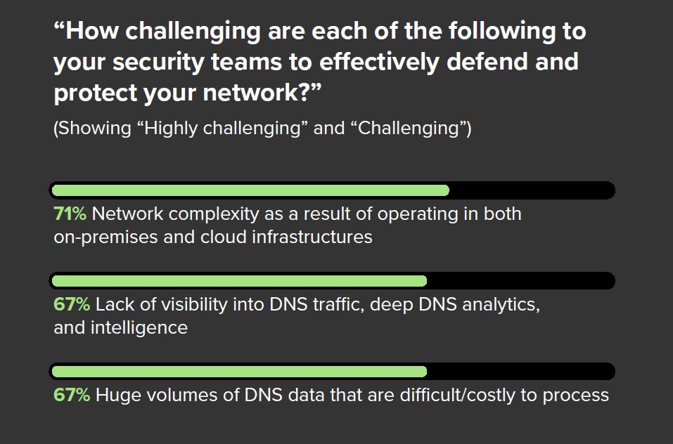 Lack of Visibility on Dns Traffic