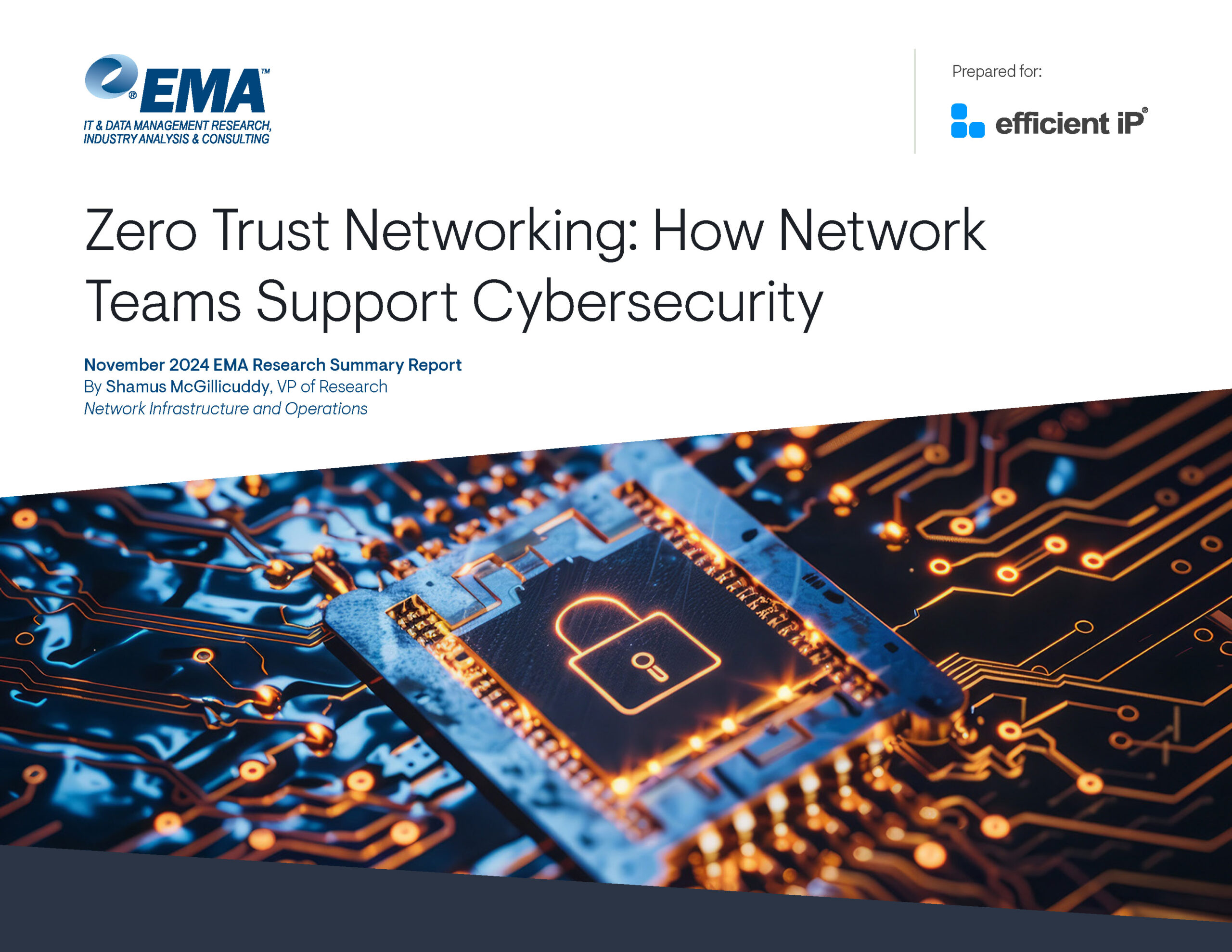 Ema7241 zero trust networking rr summary efficientip cover