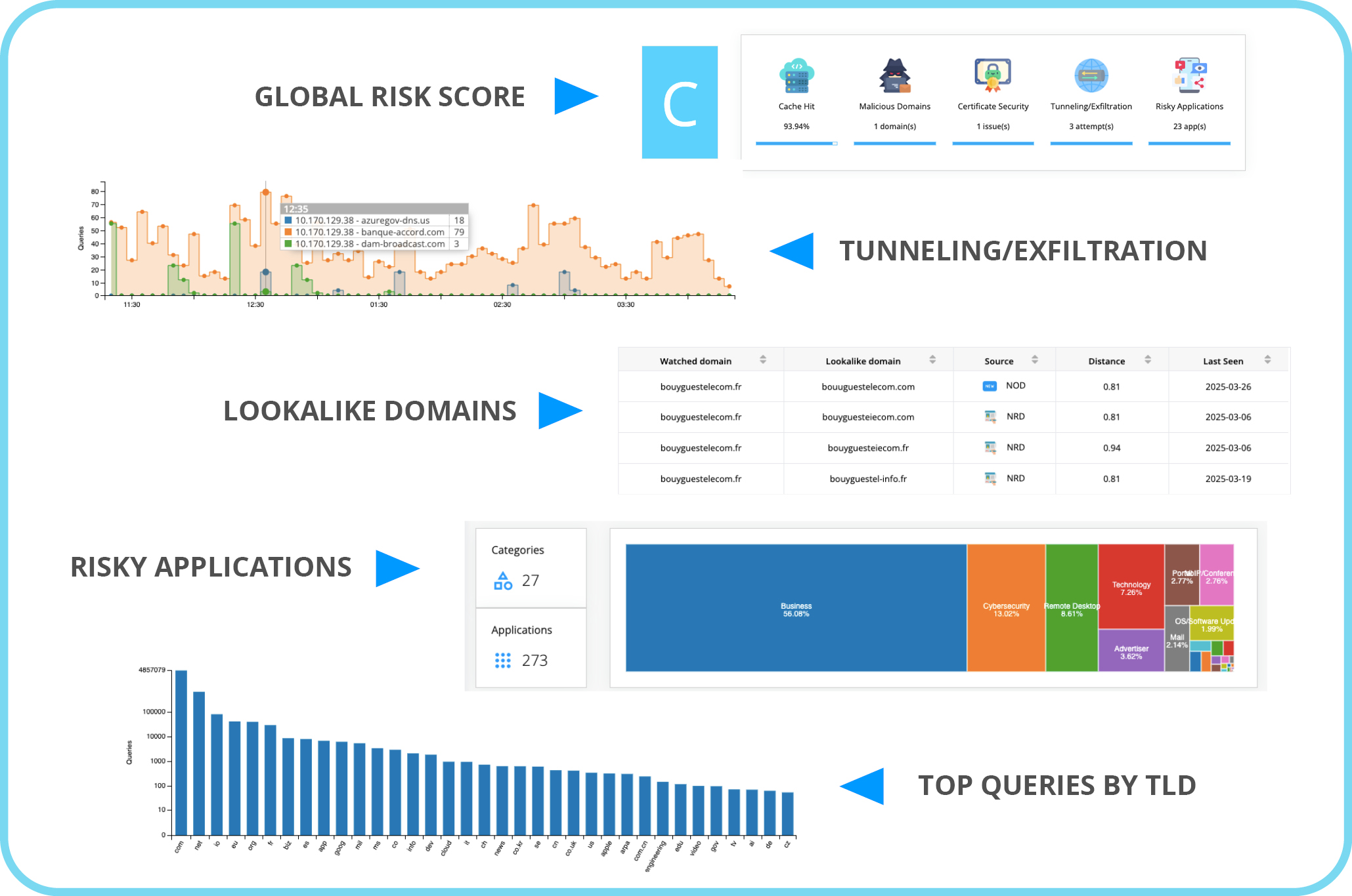 Dns Risks Charts