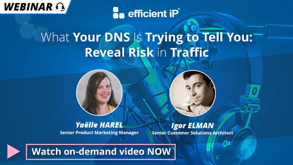 Webinar Dns Risk Assessment