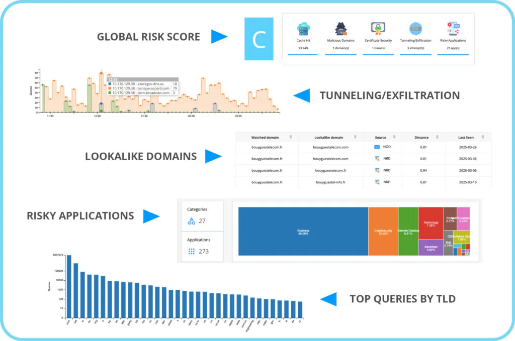 Dns Assessment Charts Cadre