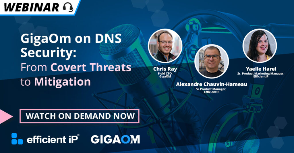 Gigaom Dns Security Radar Webinar Overview