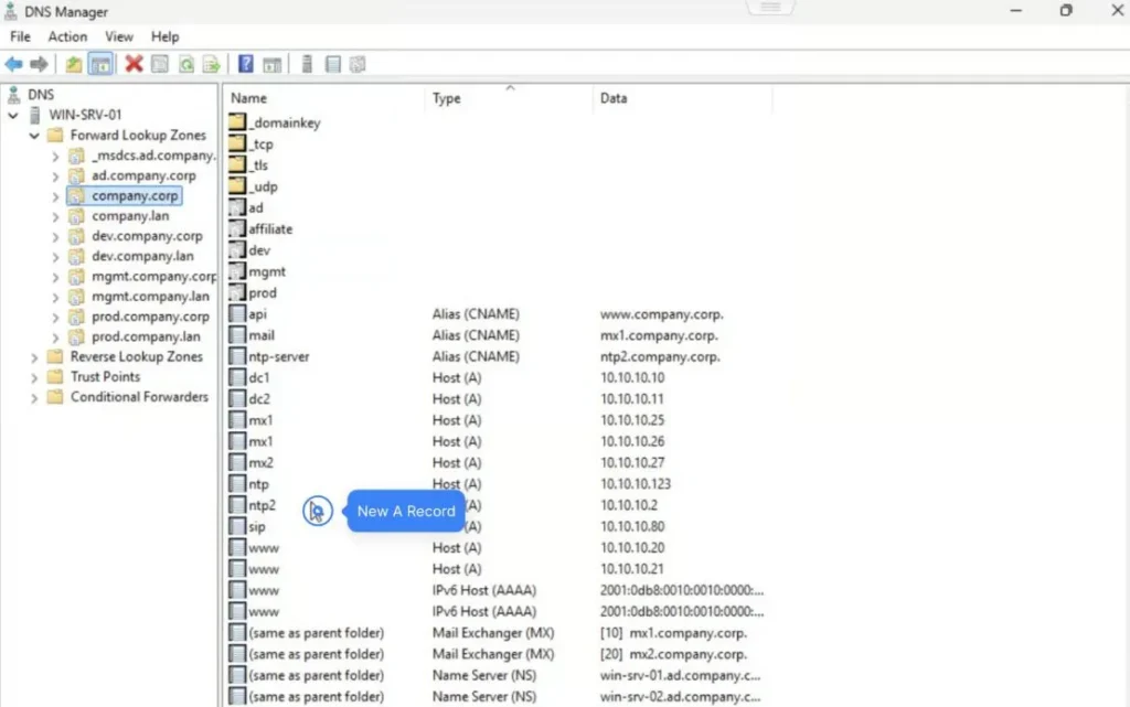 a and Cname Records Propagated from Solidserver to Microsoft Dns