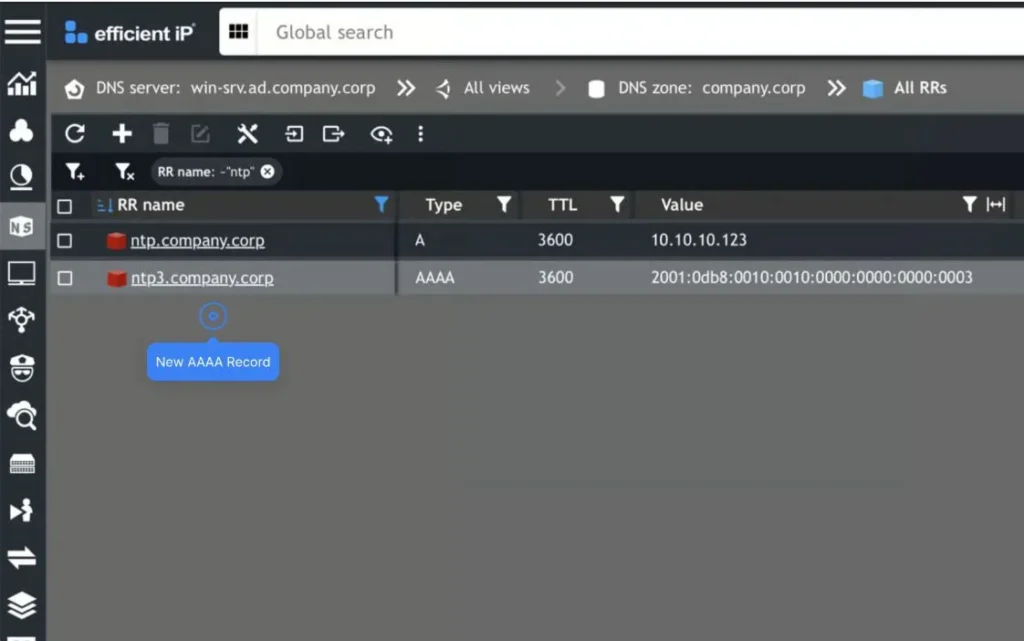 Dns Management Screen Showing a and Aaaa Records for Company Domains with a Blue'New AAAA Record' button.