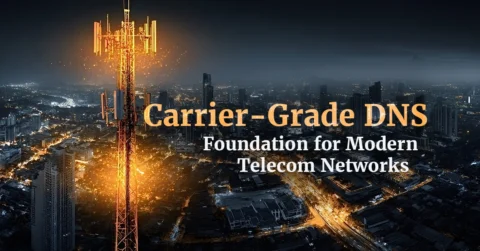Carrier grade Dns Infrastructure Illustration for Modern Telecom Network