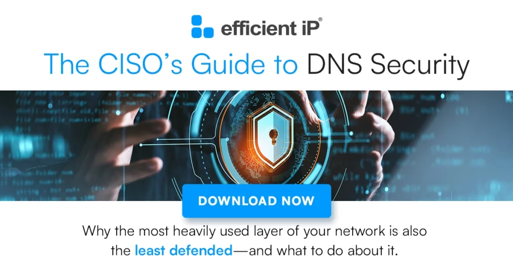 the Cisos Guide to Dns Security by Efficientip